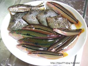 DSCF2847.jpg