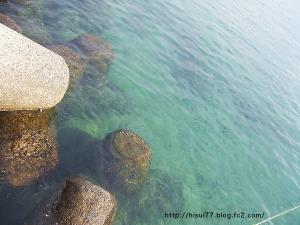 DSCF2944.jpg