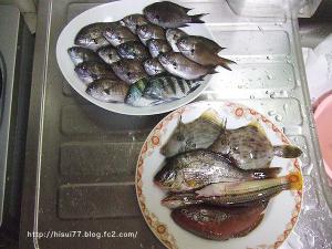 DSCF2948.jpg