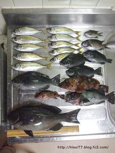 DSCF2981.jpg