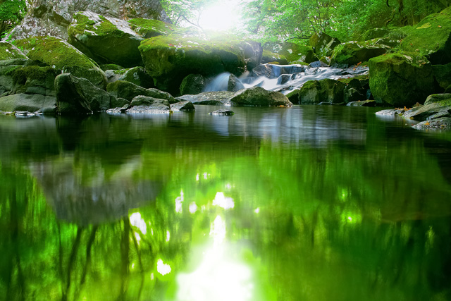緑の河