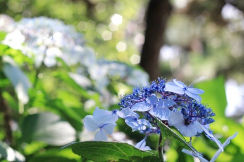 a1380_000307.jpg