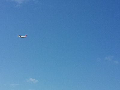 飛行機