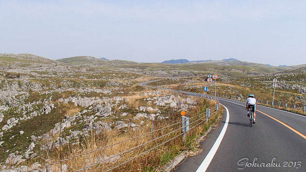 P4141343.jpg