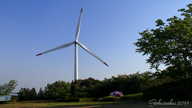 P4291440.jpg