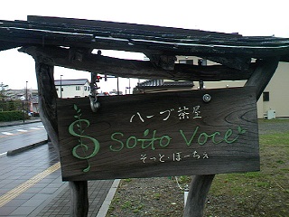 TS3E2982.jpg
