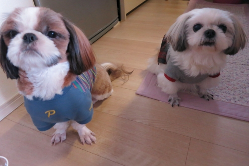 今日のふたり