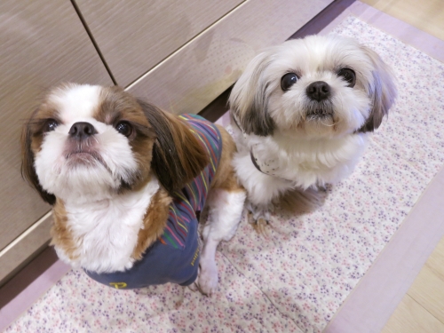 今日のふたり