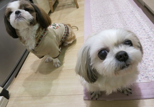 今日のふたり