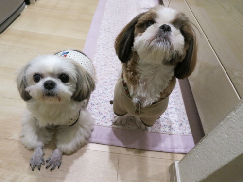 今日のふたり