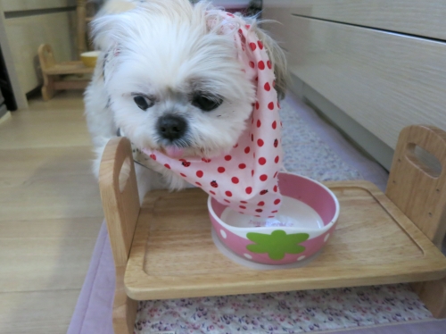 華ちゃん食後1