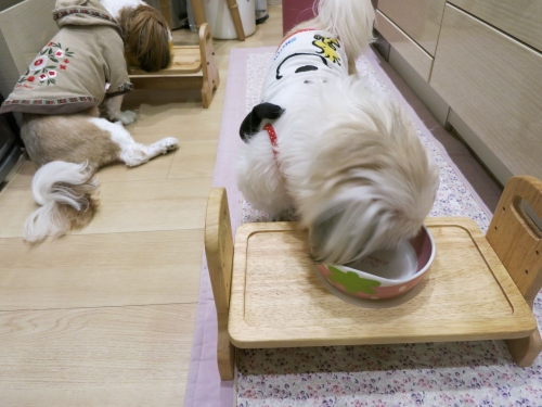 食事中のふたり1