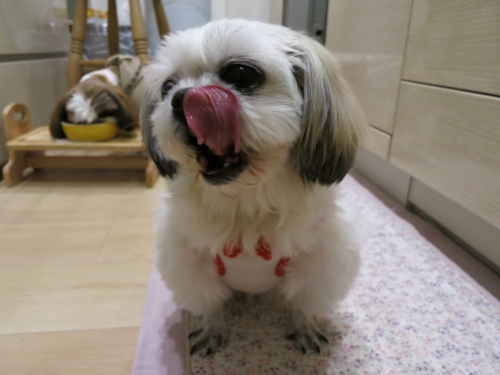 食事中のふたり2