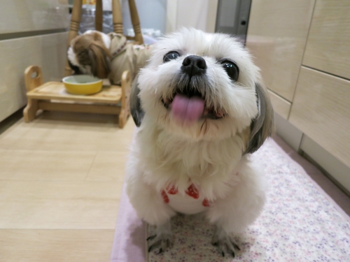 食事中のふたり3