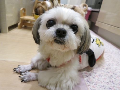 食事中のふたり4
