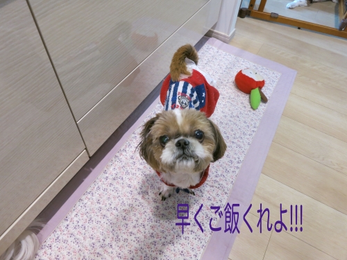 りささん2
