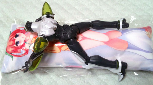 nobidaki_DSC_0137.jpg