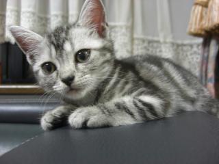 CIMG0011_20120910102632.jpg