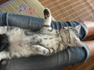 CIMG0024_20120910102644.jpg