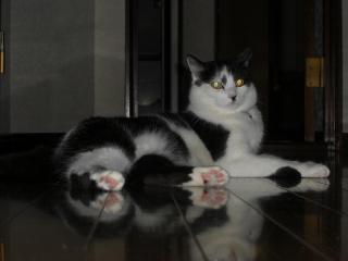 CIMG0029.jpg