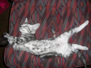CIMG0030_20120910102701.jpg