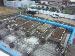 tk-DSC_0037_20121101100759.jpg