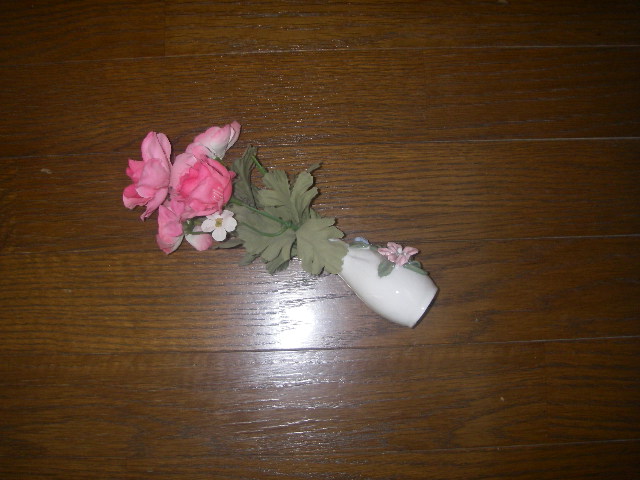 IMGP0095.jpg