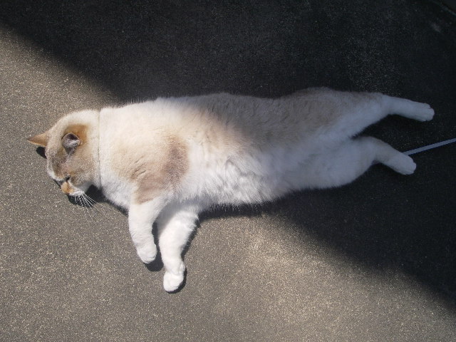 IMGP0096.jpg