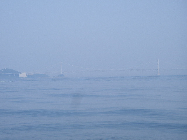 IMGP0180.jpg