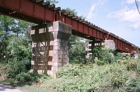 22880024.jpg