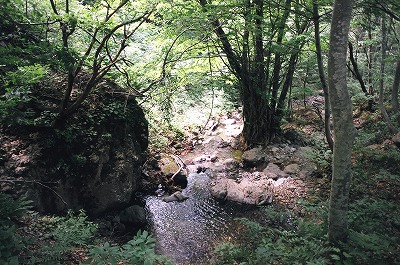 83690011.jpg