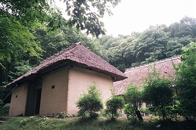 83690019.jpg