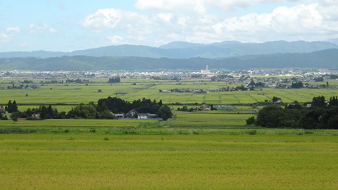 DSC00355.jpg