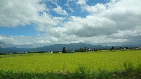 DSC00368.jpg