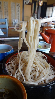 DSC00388.jpg