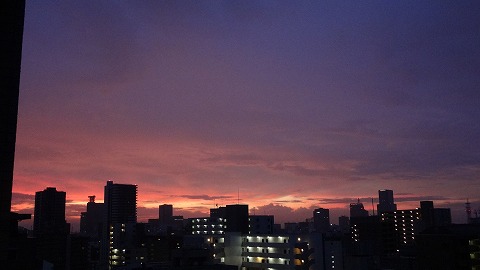 DSC00480.jpg