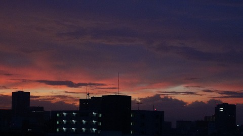 DSC00483.jpg