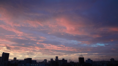 DSC00486_20121003204730.jpg