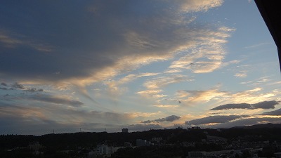 DSC00500.jpg