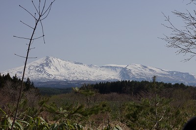 DSC00673.jpg