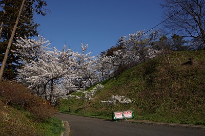 DSC00719.jpg