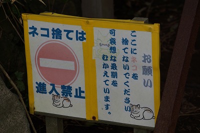 DSC00807.jpg