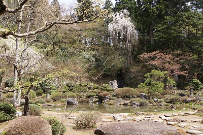 DSC00844.jpg