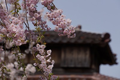 DSC00871.jpg
