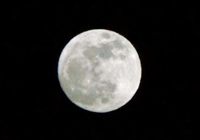 DSC00903c.jpg