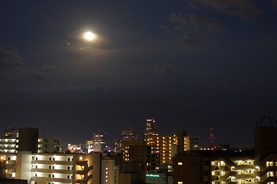 DSC00905.jpg