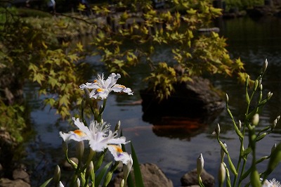 DSC00920.jpg