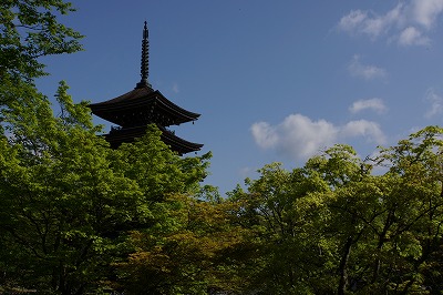 DSC00928.jpg
