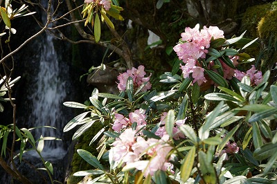 DSC00945.jpg