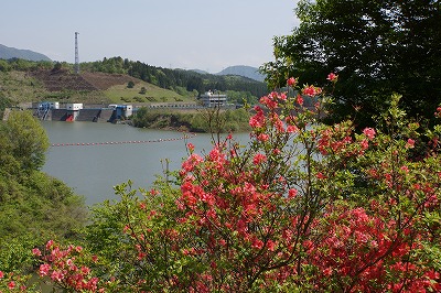 DSC00986.jpg